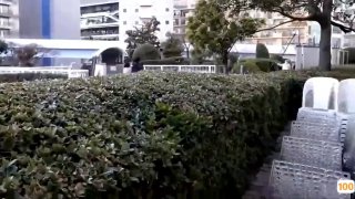 这么骚的浪荡姐妹花争相找鸡巴操